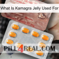 What Is Kamagra Jelly Used For new13